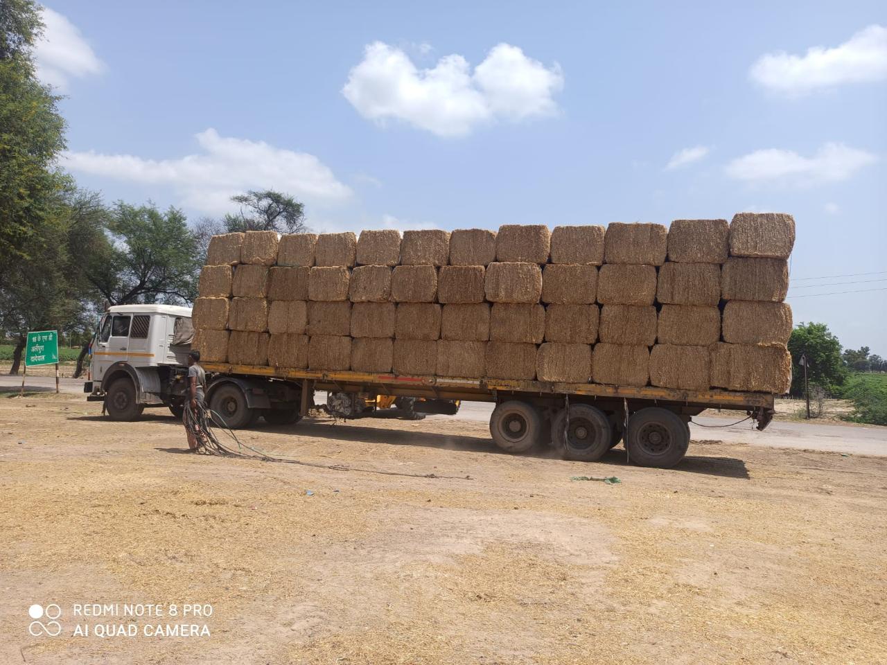 81d2bee8-e7eb-439b-a872-77c91683c142