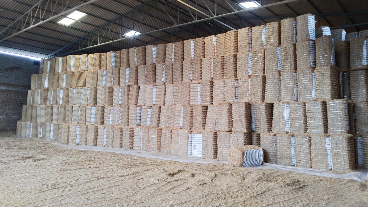 PHOTO-2025-01-05-21-22-48