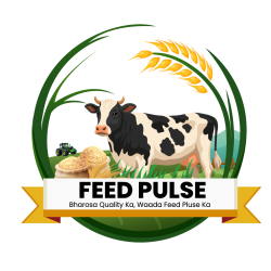 FEED PULSE